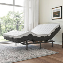 Wayfair electric online beds